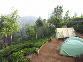 JFR Campsite Ooty